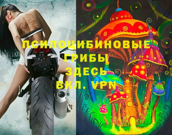 винт Армянск