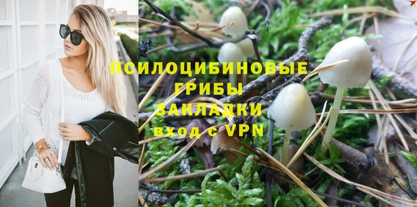мескалин Арсеньев
